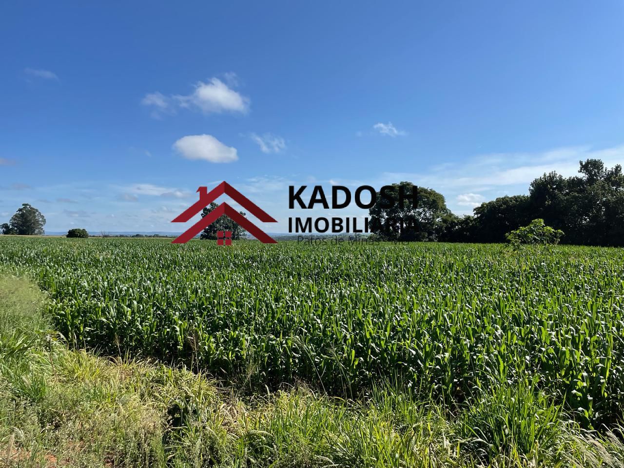 bbeae0f1-8a06-40e5-bf68-71fa5ce1d1d0