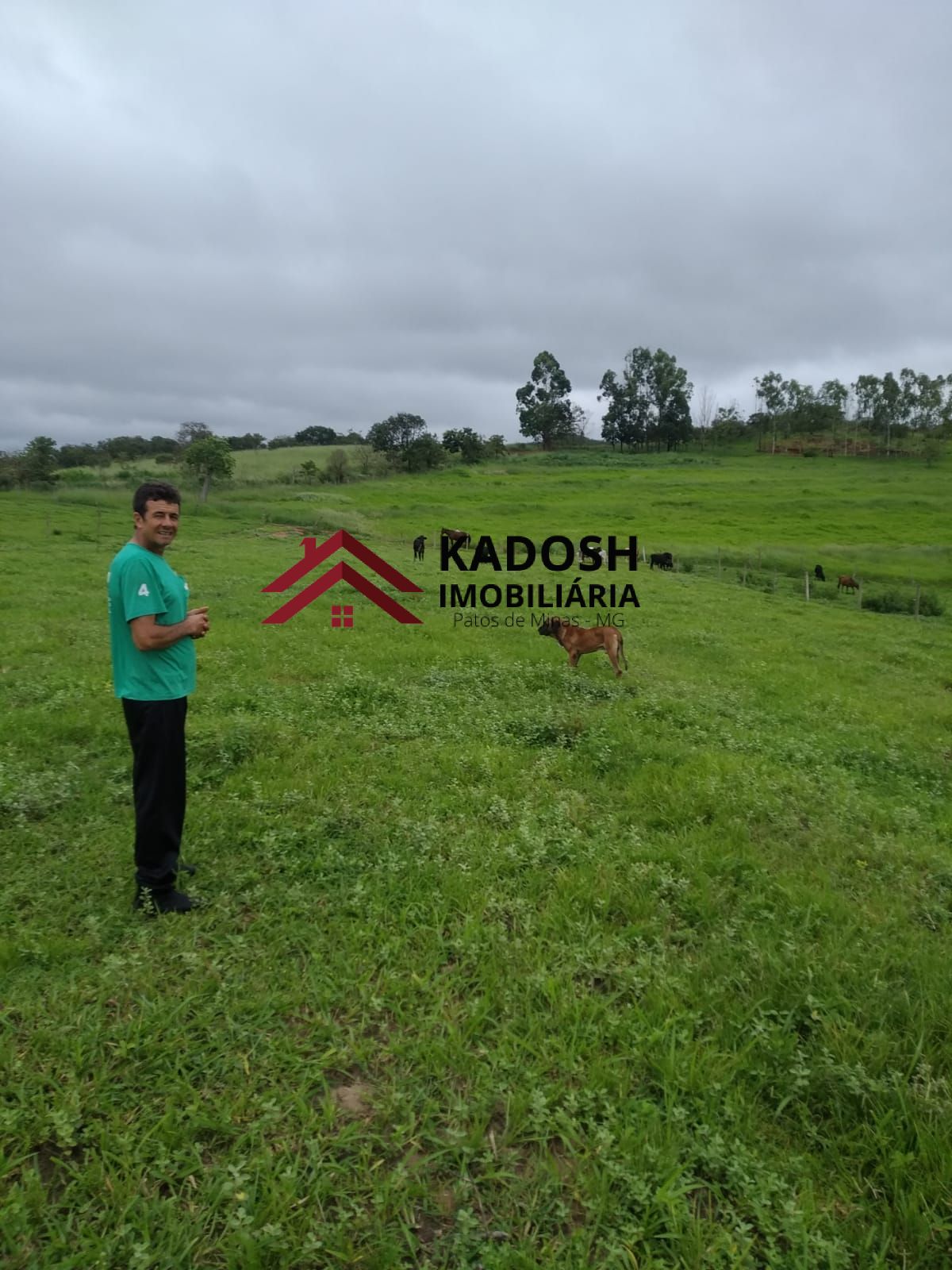 bd15e9eb-fc29-4b45-a893-dc0a1fc6049a