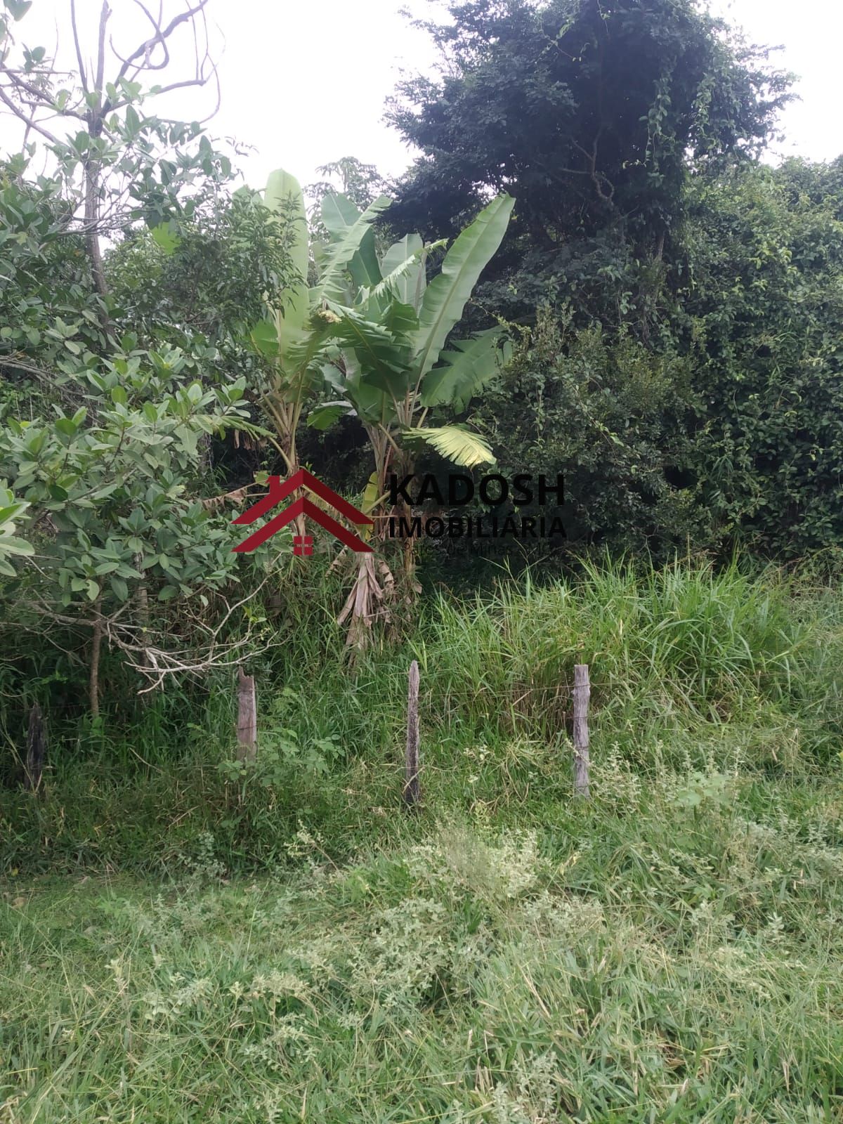 bf218567-6a7f-4488-8946-7f651bfd3055