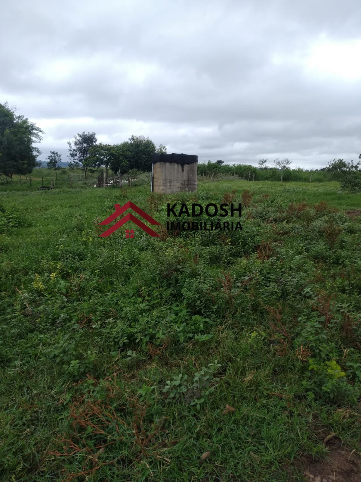 c0c375d6-139c-45b3-9cae-e83d33a33313