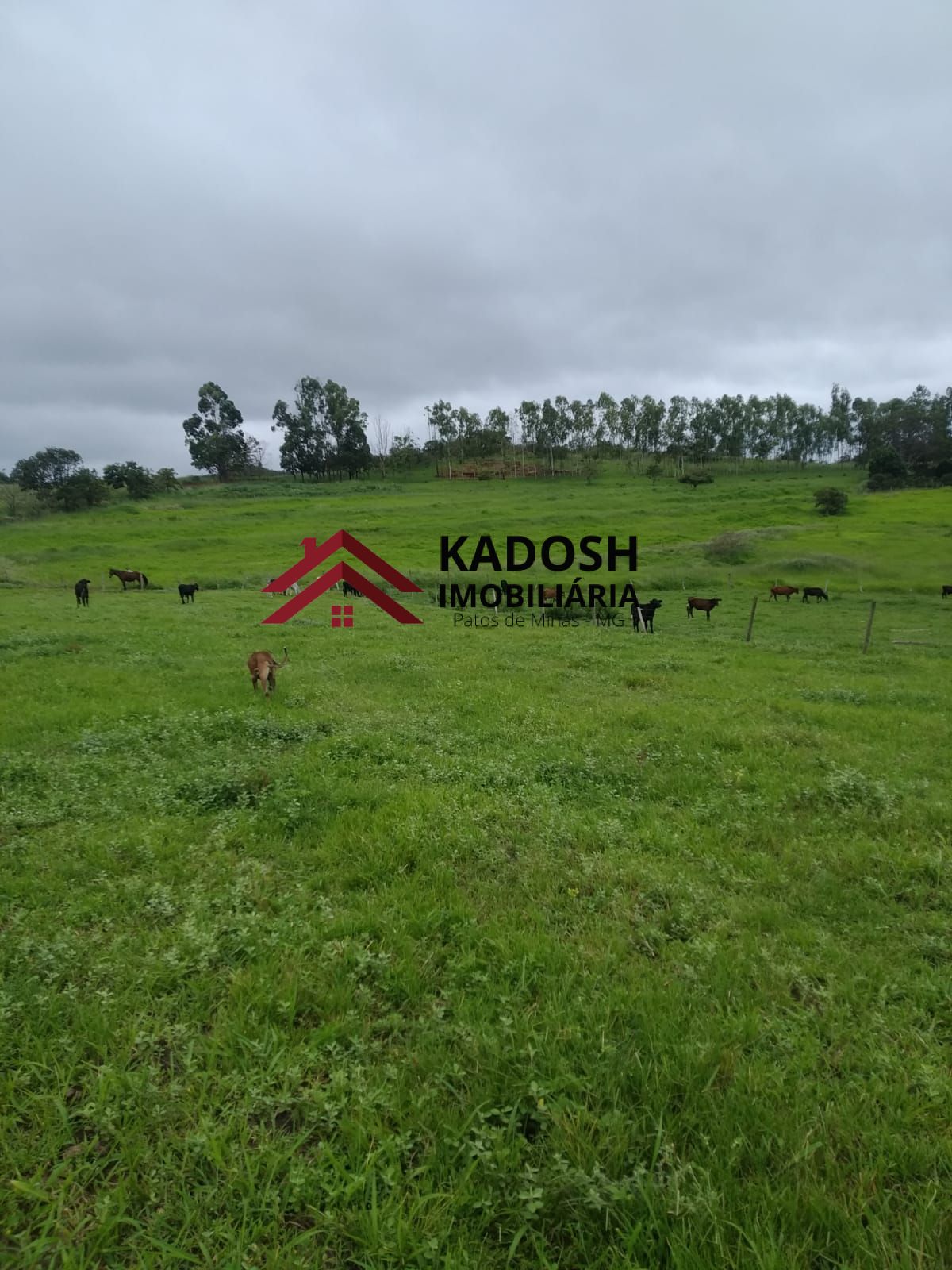 c183fda1-a1b6-47c8-b03f-b0e68ad26a02