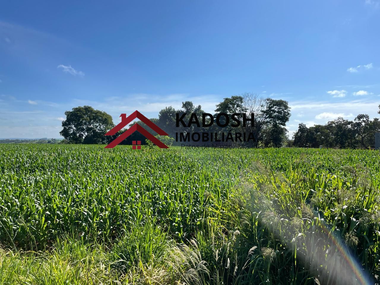 c99dc7f7-9633-418e-aca6-f6901cadc090