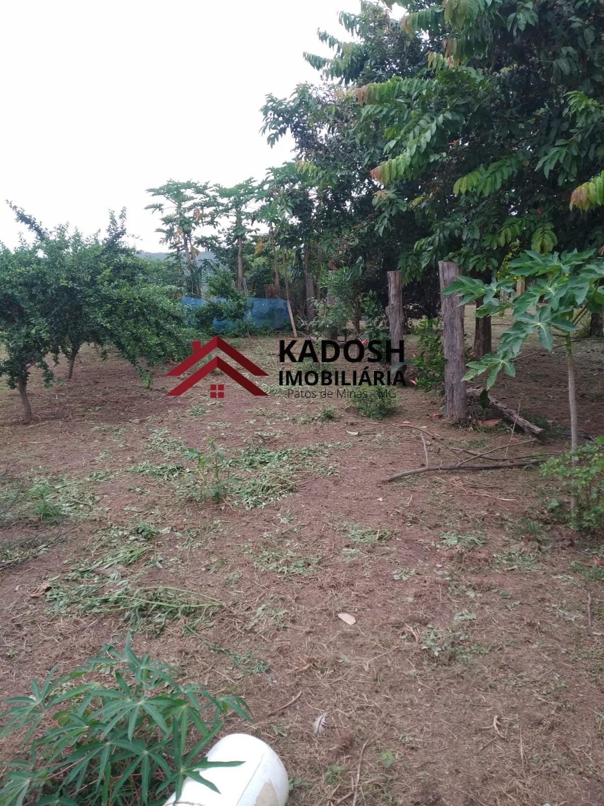 d69760f3-6775-48cc-9992-7d2661960625