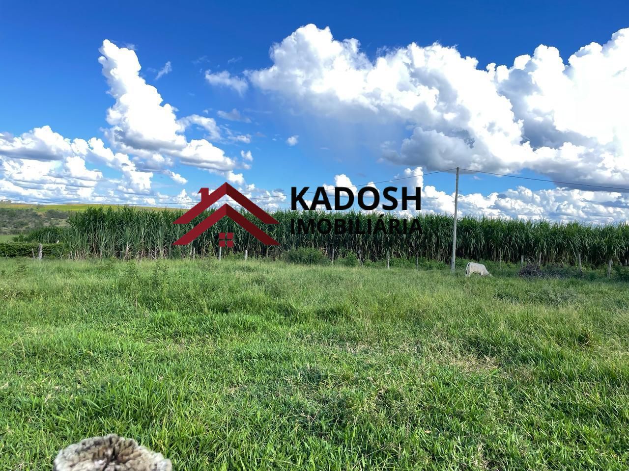 d7afb05f-8c9a-455e-97a5-af4a196e38f9