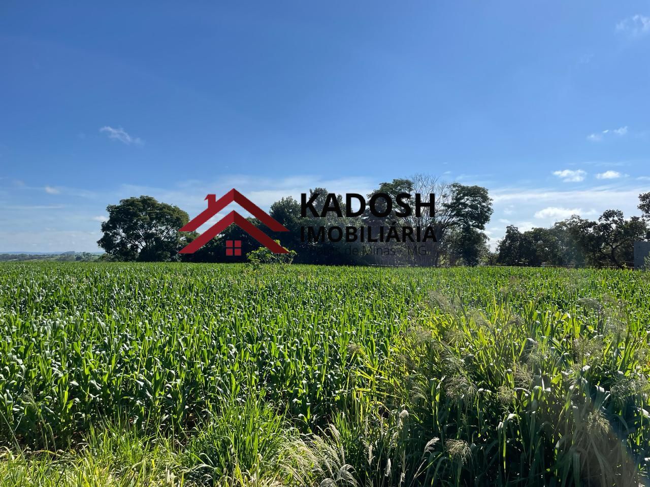 de573e6d-5294-4838-a3cf-ccdda818e5e2