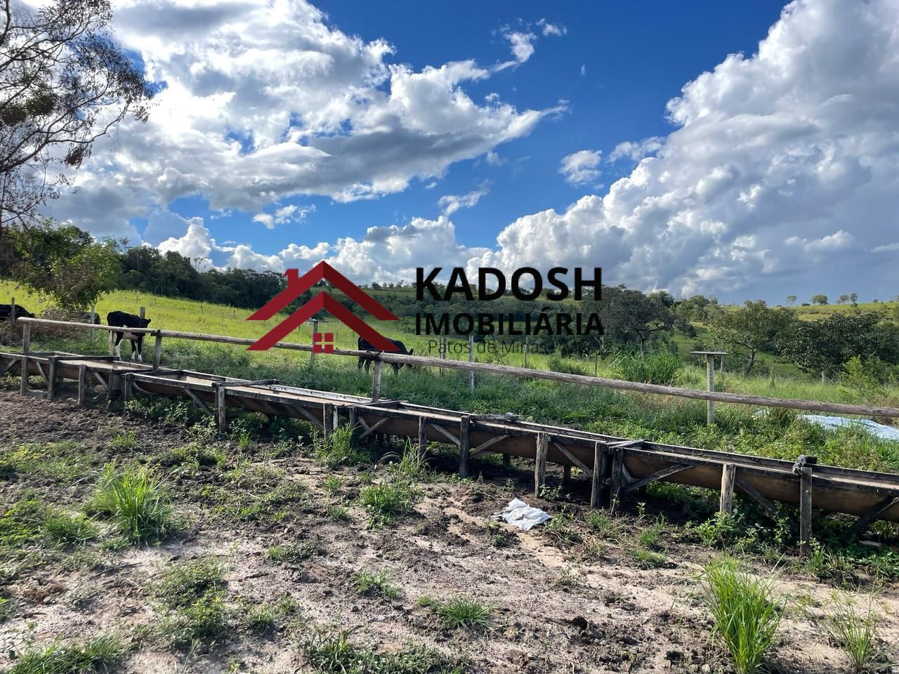 e8f09c58-251d-4e84-9157-28ad321cd7ef