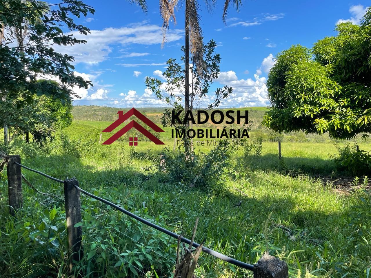 f1fbb0b6-6752-43f2-8f2f-08d942b5b913