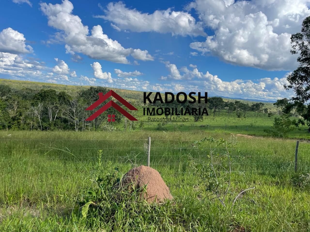 f7b6736c-22cf-44bf-adcf-953ab0c9f26f