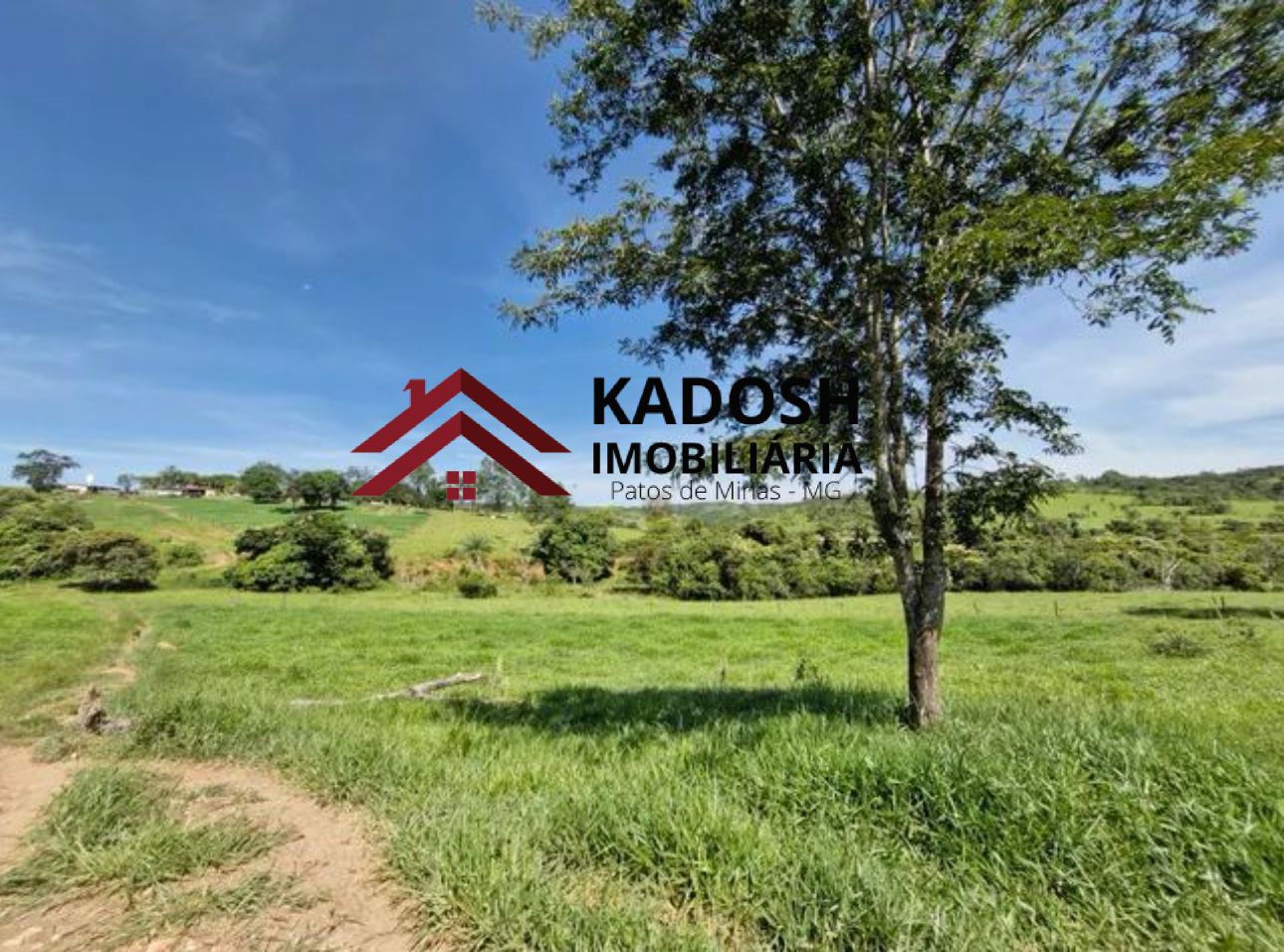 11d65d3d-1d28-479b-bdf7-d89e0bd78899