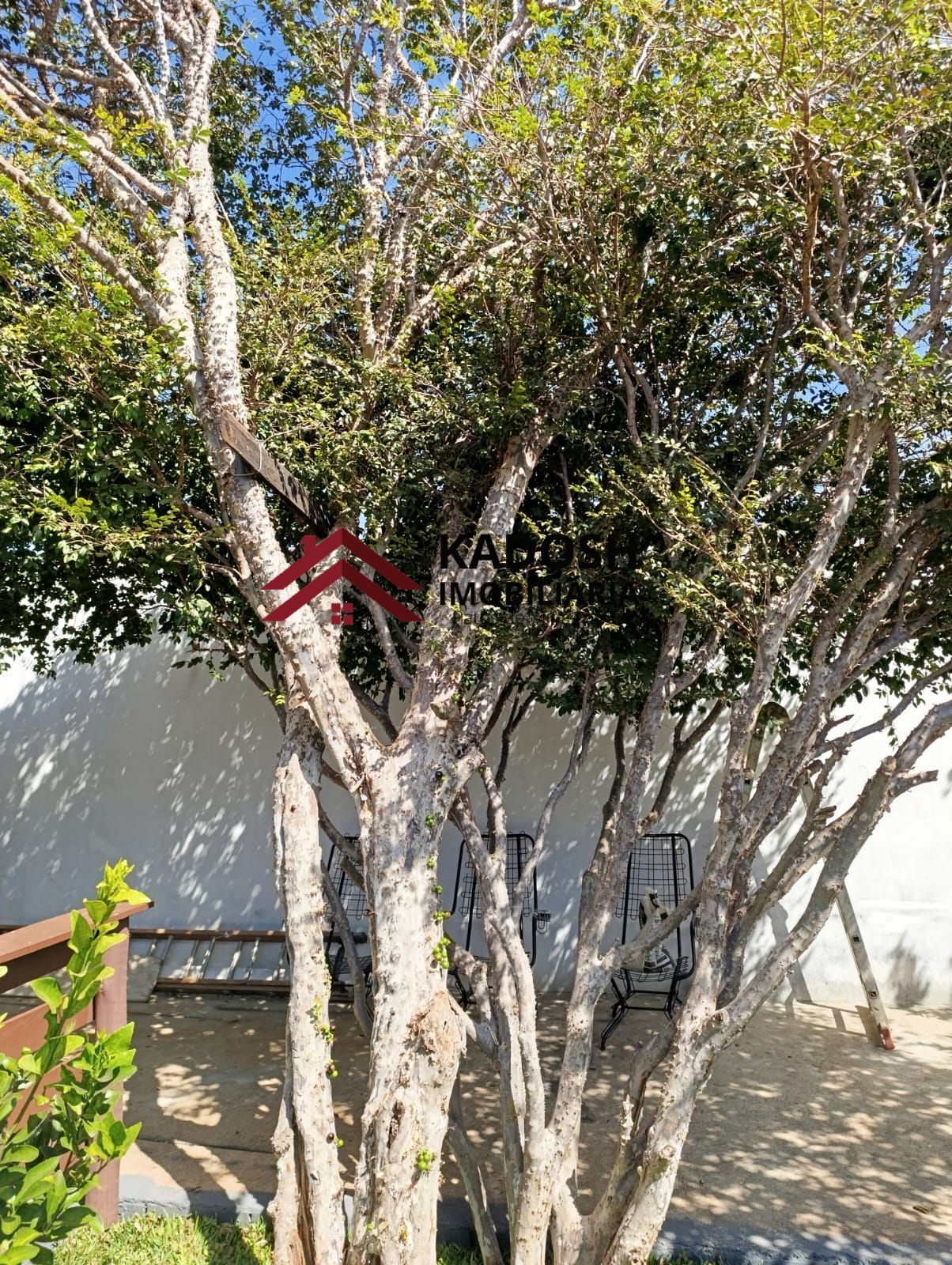 f7c1e99a-3bfa-4cd7-aad4-fa9a96e080da